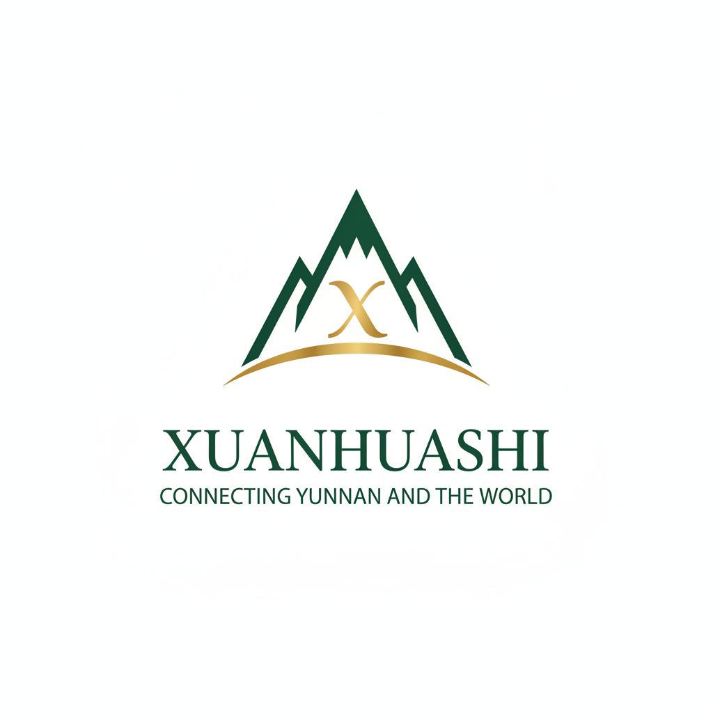 Xuanhuashi Logo